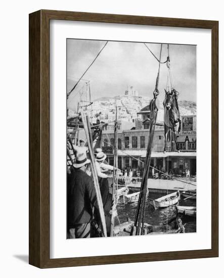 The Shipping of Mules, Syros Island, Greece, 1937-Martin Hurlimann-Framed Giclee Print