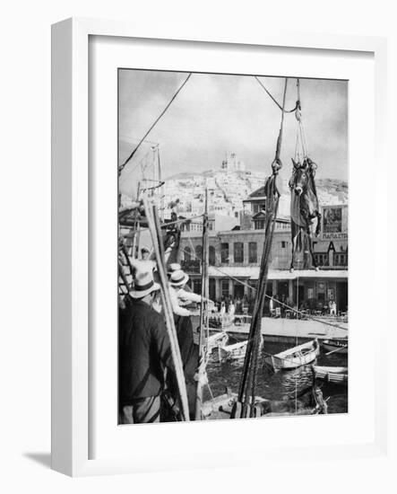 The Shipping of Mules, Syros Island, Greece, 1937-Martin Hurlimann-Framed Giclee Print