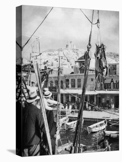 The Shipping of Mules, Syros Island, Greece, 1937-Martin Hurlimann-Stretched Canvas