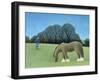 The Shire Horse, 2006-Ann Brain-Framed Giclee Print