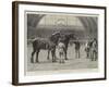 The Shire Horse Show at the Agricultural Hall, the Final Duel-John Charles Dollman-Framed Giclee Print