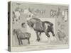 The Shire Horse Show at the Royal Agricultural Hall-Cecil Aldin-Stretched Canvas