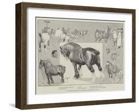 The Shire Horse Show at the Royal Agricultural Hall-Cecil Aldin-Framed Giclee Print