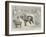 The Shire Horse Show at the Royal Agricultural Hall-Cecil Aldin-Framed Giclee Print