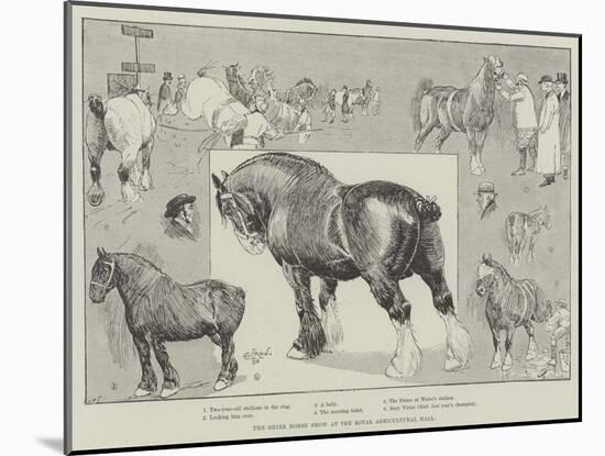 The Shire Horse Show at the Royal Agricultural Hall-Cecil Aldin-Mounted Giclee Print