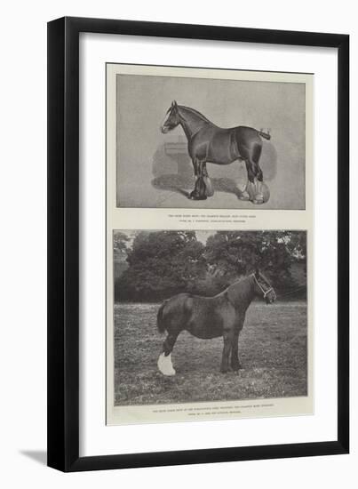 The Shire Horse Show-null-Framed Giclee Print