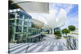 The Shoppes at Marina Bay Sands and Artscience Museum, Marina Bay, Singapore, Southeast Asia, Asia-Fraser Hall-Stretched Canvas