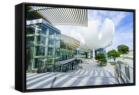 The Shoppes at Marina Bay Sands and Artscience Museum, Marina Bay, Singapore, Southeast Asia, Asia-Fraser Hall-Framed Stretched Canvas