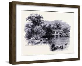 The Shore of the Connecticut River United States of America-null-Framed Giclee Print