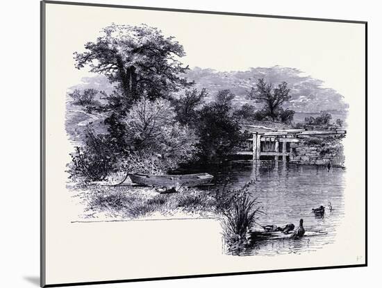 The Shore of the Connecticut River United States of America-null-Mounted Giclee Print