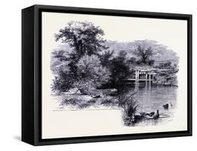 The Shore of the Connecticut River United States of America-null-Framed Stretched Canvas