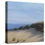 The Shore-Vivien Rhyan-Stretched Canvas