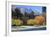 The Shoreline of Queenstown, on the Banks of Lake Wakatipu, South Island, New Zealand-Paul Dymond-Framed Photographic Print