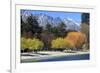 The Shoreline of Queenstown, on the Banks of Lake Wakatipu, South Island, New Zealand-Paul Dymond-Framed Photographic Print