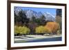 The Shoreline of Queenstown, on the Banks of Lake Wakatipu, South Island, New Zealand-Paul Dymond-Framed Photographic Print