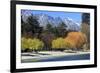 The Shoreline of Queenstown, on the Banks of Lake Wakatipu, South Island, New Zealand-Paul Dymond-Framed Photographic Print