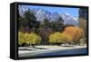 The Shoreline of Queenstown, on the Banks of Lake Wakatipu, South Island, New Zealand-Paul Dymond-Framed Stretched Canvas