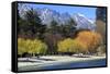 The Shoreline of Queenstown, on the Banks of Lake Wakatipu, South Island, New Zealand-Paul Dymond-Framed Stretched Canvas