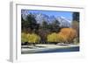 The Shoreline of Queenstown, on the Banks of Lake Wakatipu, South Island, New Zealand-Paul Dymond-Framed Photographic Print