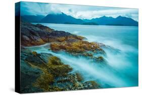 The shores of Bamdoroshni Island off the coast of Sitka, Alaska-Mark A Johnson-Stretched Canvas