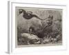 The Short-Nosed Seahorse (Hippocampus Brevirostris) in the Gardens of the Zoological Society-null-Framed Giclee Print