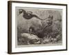 The Short-Nosed Seahorse (Hippocampus Brevirostris) in the Gardens of the Zoological Society-null-Framed Giclee Print