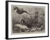 The Short-Nosed Seahorse (Hippocampus Brevirostris) in the Gardens of the Zoological Society-null-Framed Giclee Print