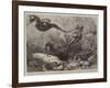 The Short-Nosed Seahorse (Hippocampus Brevirostris) in the Gardens of the Zoological Society-null-Framed Giclee Print