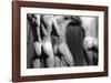 The Shower Room-Fred Goudon-Framed Art Print