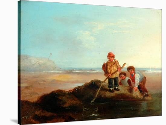 The Shrimpers-William Collins-Stretched Canvas