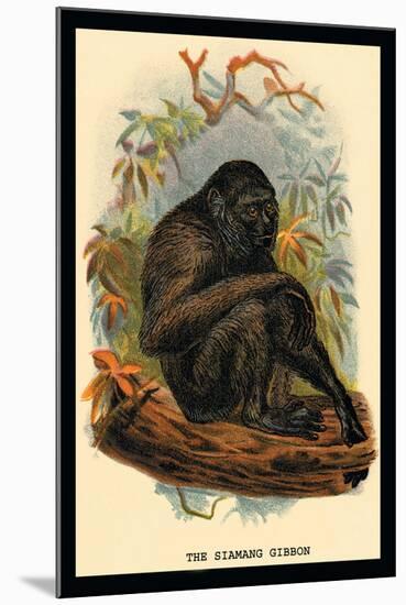 The Siamang Gibbon-G.r. Waterhouse-Mounted Art Print