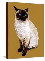 The Siamese Cat on Golden Yellow, 2020, (Pen and Ink)-Mike Davis-Stretched Canvas