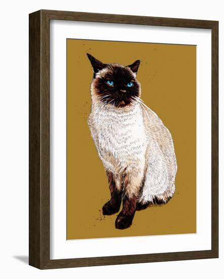 The Siamese Cat on Golden Yellow, 2020, (Pen and Ink)-Mike Davis-Framed Giclee Print