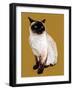 The Siamese Cat on Golden Yellow, 2020, (Pen and Ink)-Mike Davis-Framed Giclee Print