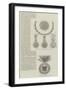 The Siamese Royal Order and Medal-null-Framed Giclee Print