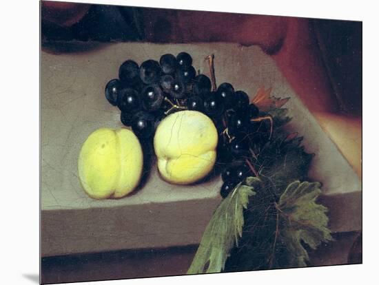 The Sick Bacchus, Detail of Peaches and Grapes, 1591-Caravaggio-Mounted Giclee Print