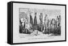 "The Sick Goose and the Council of Health," a Satire on Patent Medicines-George Cruikshank-Framed Stretched Canvas