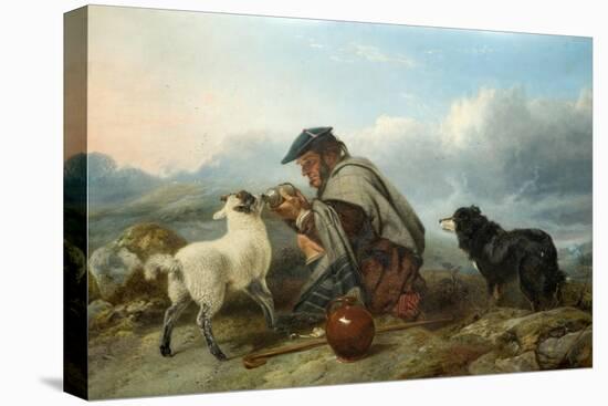 The Sick Lamb, 1853-Richard Ansdell-Stretched Canvas