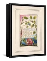 The Sick Rose: Plate 40 from 'Songs of Innocence and of Experience' C.1802-08-William Blake-Framed Stretched Canvas