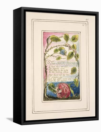 The Sick Rose: Plate 40 from 'Songs of Innocence and of Experience' C.1802-08-William Blake-Framed Stretched Canvas