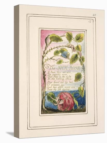 The Sick Rose: Plate 40 from 'Songs of Innocence and of Experience' C.1802-08-William Blake-Stretched Canvas