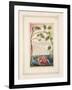 The Sick Rose: Plate 40 from 'Songs of Innocence and of Experience' C.1802-08-William Blake-Framed Giclee Print