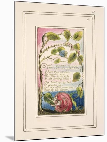 The Sick Rose: Plate 40 from 'Songs of Innocence and of Experience' C.1802-08-William Blake-Mounted Giclee Print