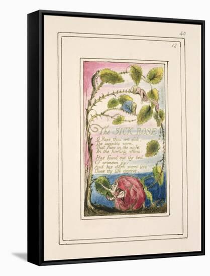 The Sick Rose: Plate 40 from 'Songs of Innocence and of Experience' C.1802-08-William Blake-Framed Stretched Canvas