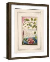 The Sick Rose: Plate 40 from 'Songs of Innocence and of Experience' C.1802-08-William Blake-Framed Giclee Print