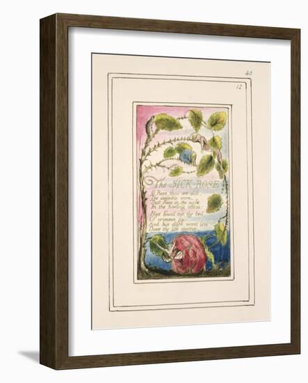 The Sick Rose: Plate 40 from 'Songs of Innocence and of Experience' C.1802-08-William Blake-Framed Giclee Print