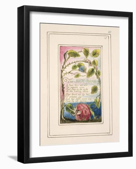 The Sick Rose: Plate 40 from 'Songs of Innocence and of Experience' C.1802-08-William Blake-Framed Giclee Print