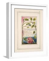 The Sick Rose: Plate 40 from 'Songs of Innocence and of Experience' C.1802-08-William Blake-Framed Giclee Print