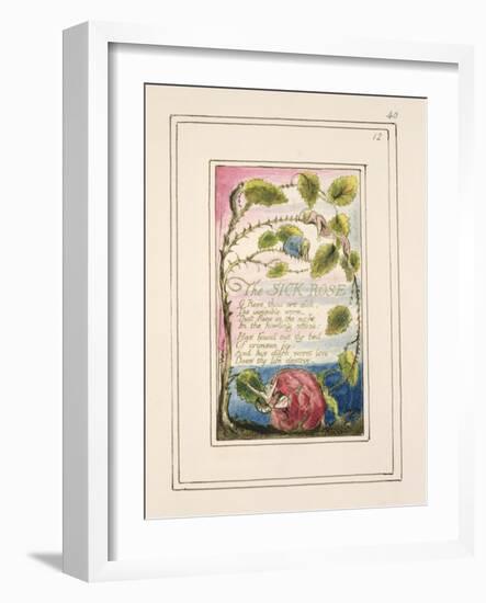 The Sick Rose: Plate 40 from 'Songs of Innocence and of Experience' C.1802-08-William Blake-Framed Giclee Print