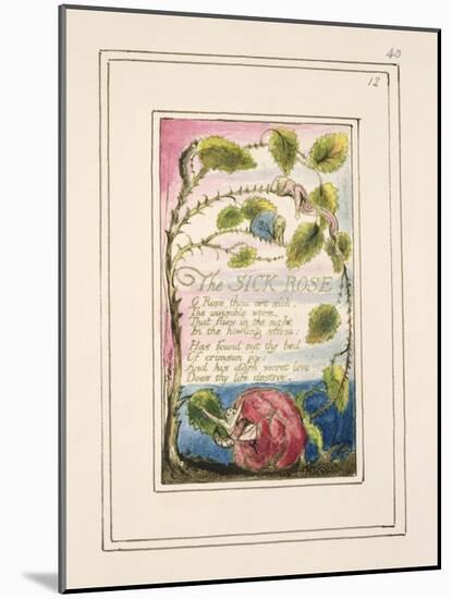 The Sick Rose: Plate 40 from 'Songs of Innocence and of Experience' C.1802-08-William Blake-Mounted Giclee Print